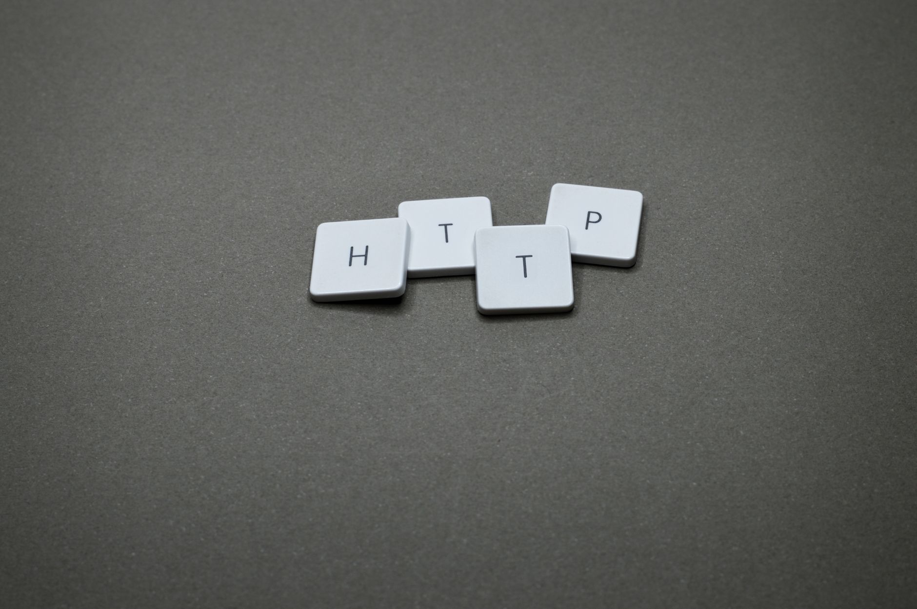 Jardinage en hiver : des activités à pratiquer pour un jardin bio
