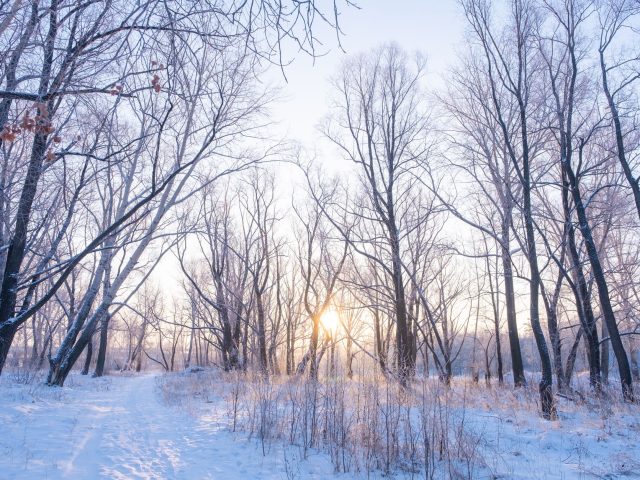 Gérer le stress en hiver : des pratiques à adopter