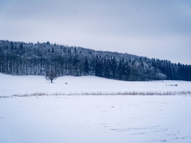 Quelles activités de plein air pratiquer en hiver ?