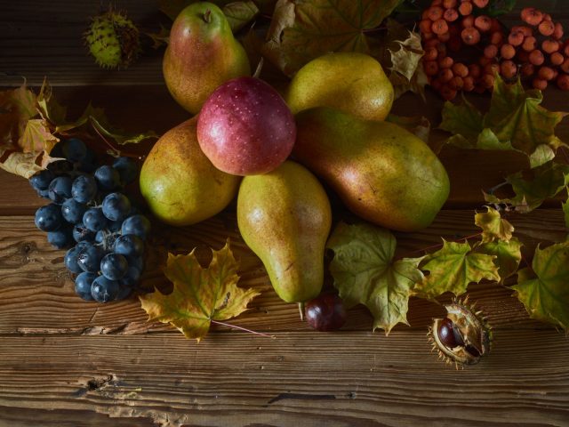 Les Aliments à Privilégier en Automne pour une Santé Optimale