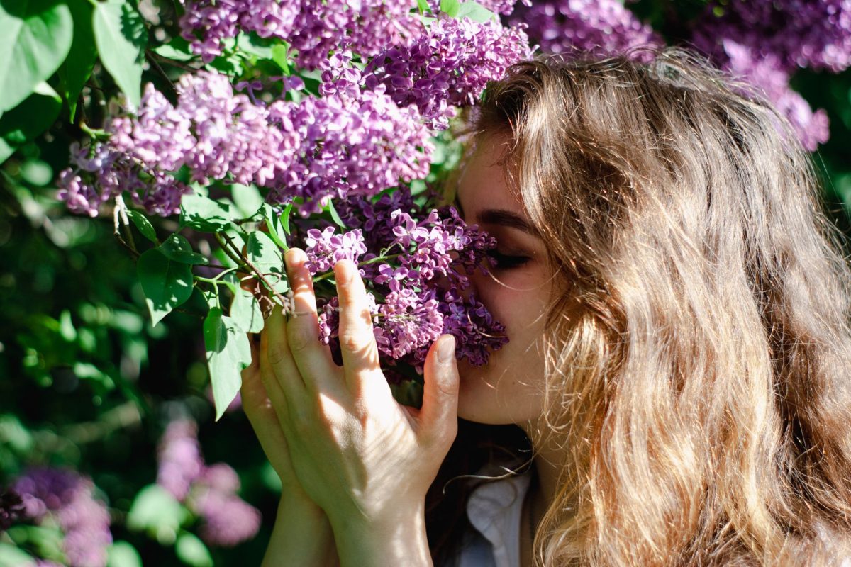 Se préparer aux allergies saisonnières du printemps