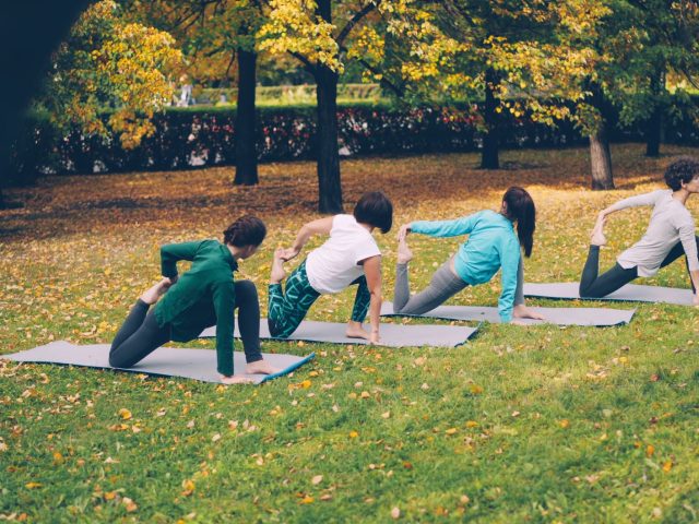 Profiter du Printemps pour Rester Actif