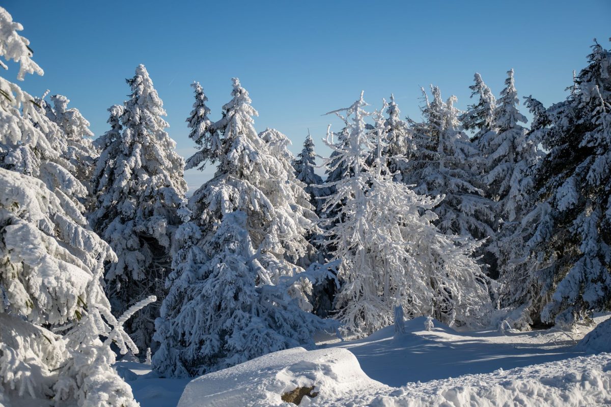 Hiver : Comment lutter contre le stress caché derrière le froid ?