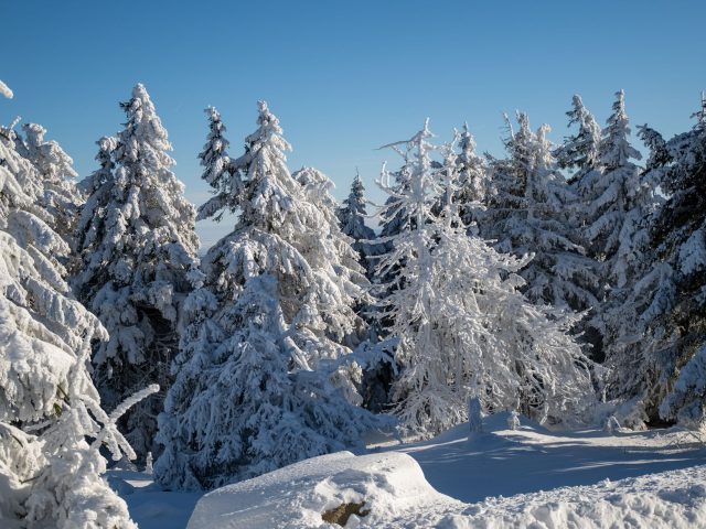 Stratégies pour gérer le stress pendant l&rsquo;hiver