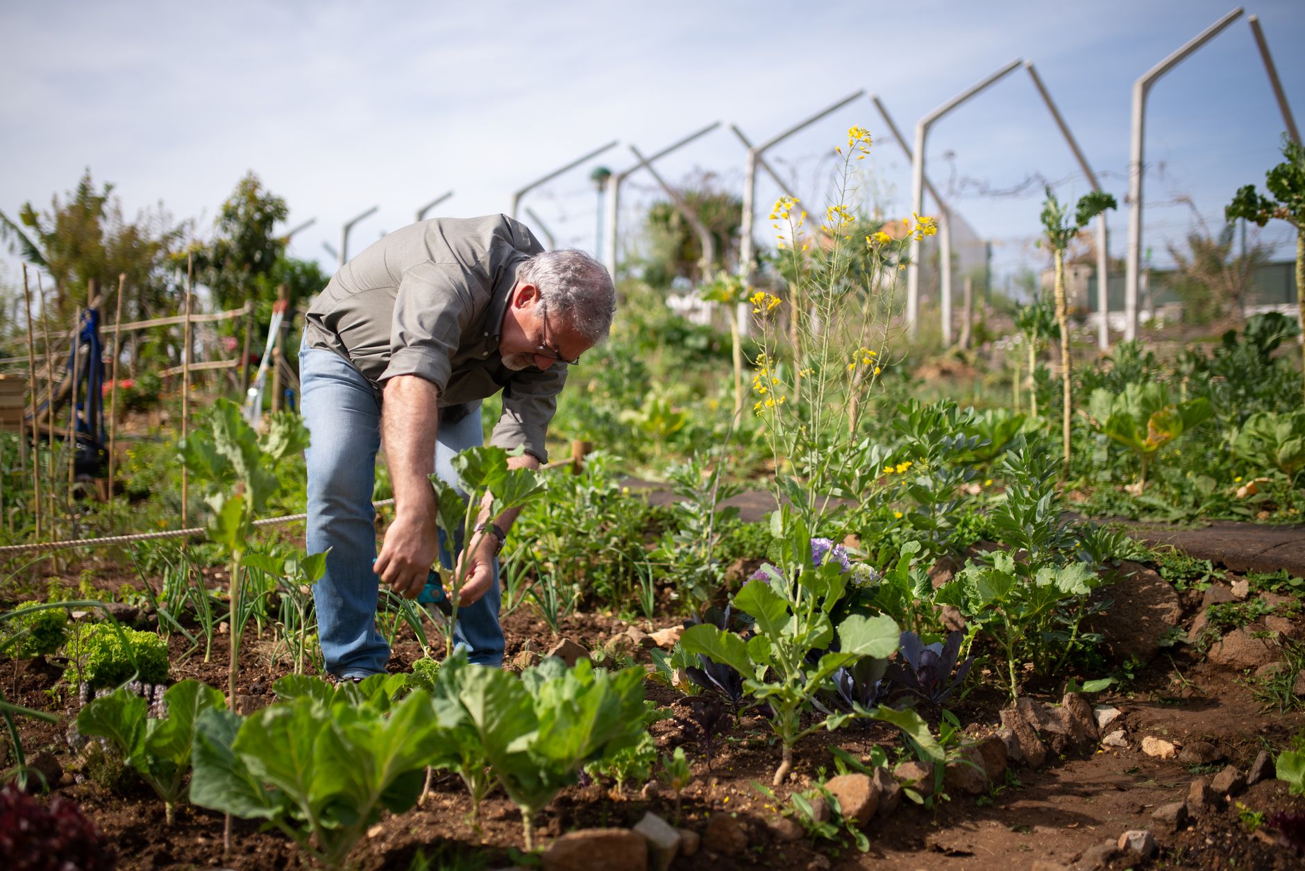 Jardin bio : démarrer un potager naturel
